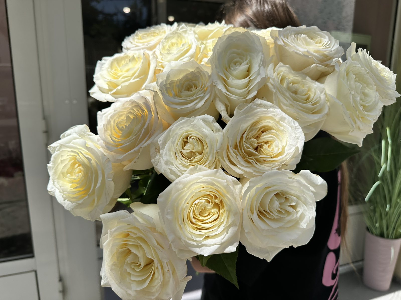 Троянда піоноподібна  Candlelight 70 см