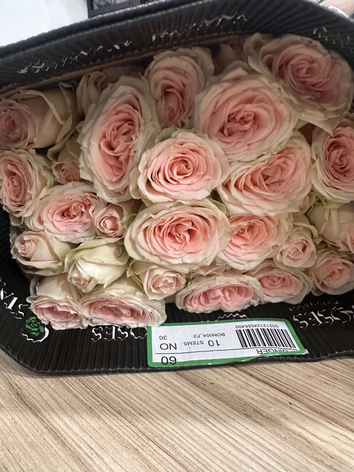 Троянда Sp Ginger 60 см